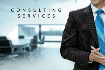 Consulting Services